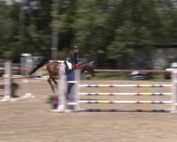 Reitturnier Kleinostheim/Ufr. 2020