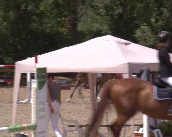Reitturnier Kleinostheim/Ufr. 2020