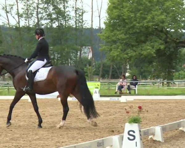 Reitturnier Babenhausen/Schw. 2020