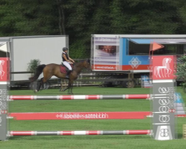 Reitturnier Kappelen-Lyss 2020