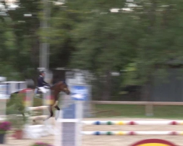 Reitturnier Kleinostheim/Ufr. 2020