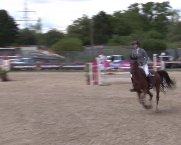 Reitturnier Kleinostheim/Ufr. 2020