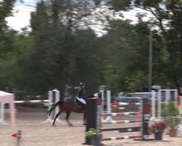 Reitturnier Kleinostheim/Ufr. 2020