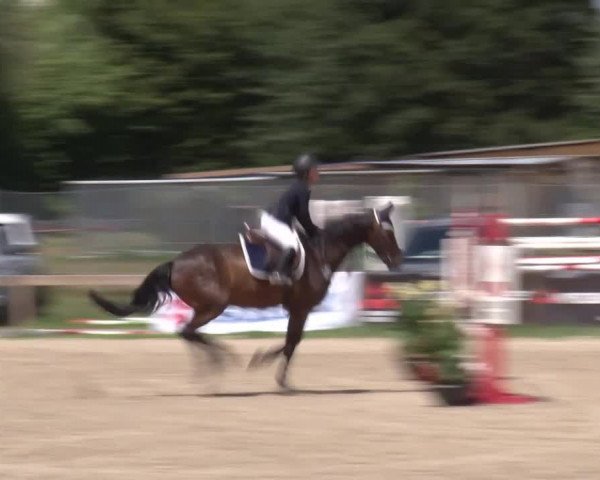 Reitturnier Kleinostheim/Ufr. 2020