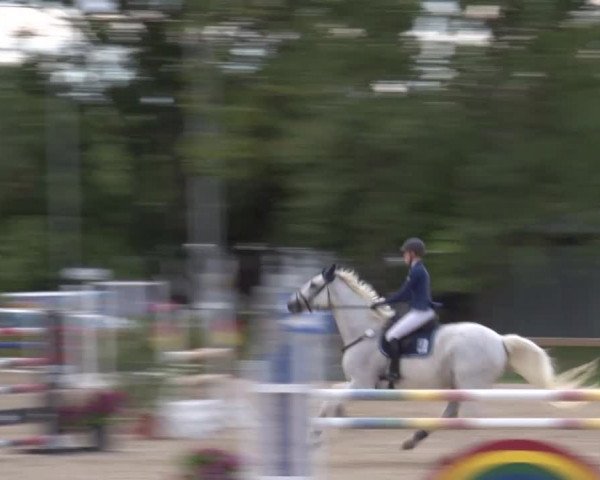 Reitturnier Kleinostheim/Ufr. 2020