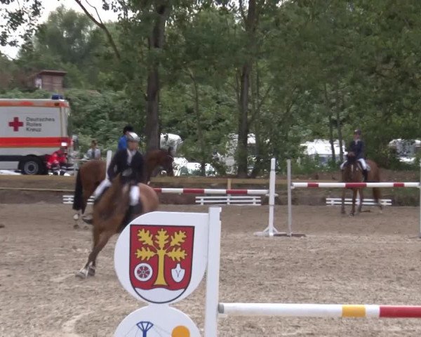 Reitturnier Kleinostheim/Ufr. 2020