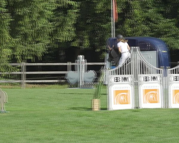 Reitturnier Kappelen-Lyss 2020