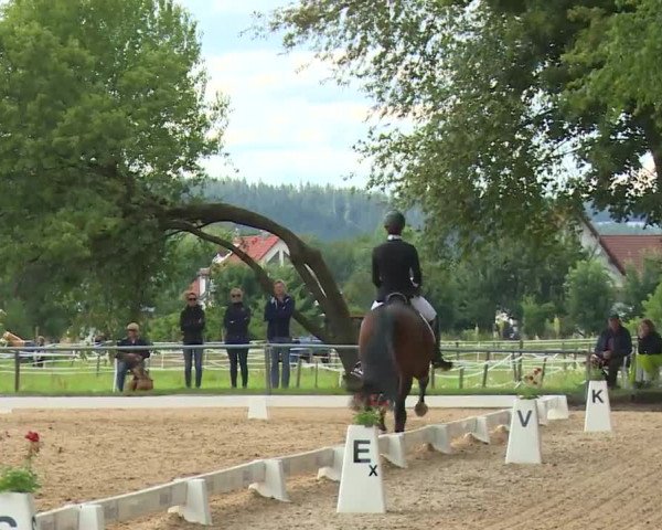 Reitturnier Babenhausen/Schw. 2020