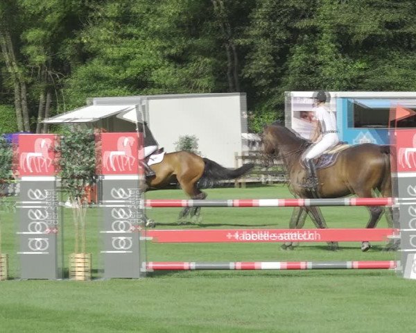 Reitturnier Kappelen-Lyss 2020