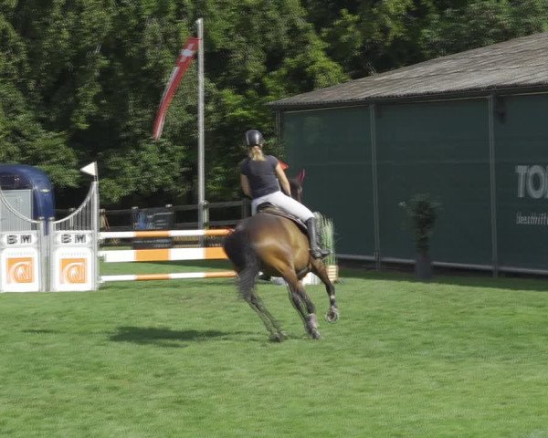 Reitturnier Kappelen-Lyss 2020