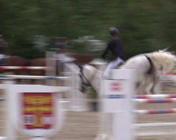 Reitturnier Kleinostheim/Ufr. 2020