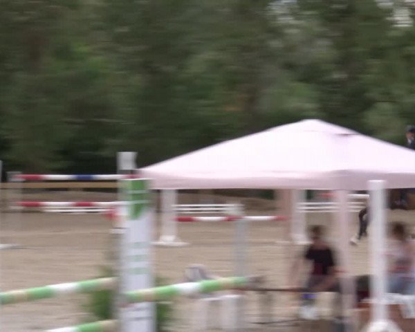 Reitturnier Kleinostheim/Ufr. 2020