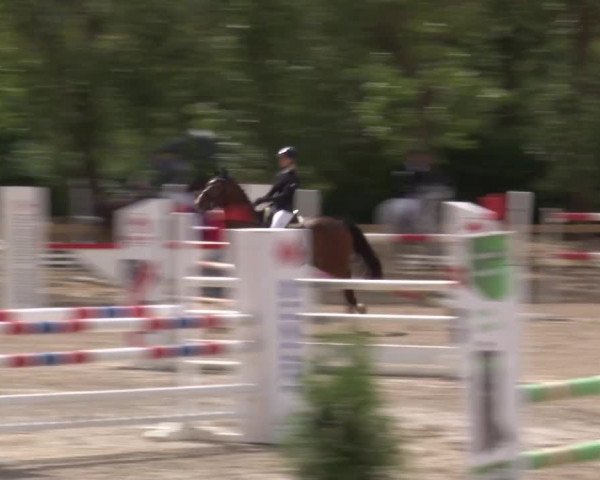 Reitturnier Kleinostheim/Ufr. 2020