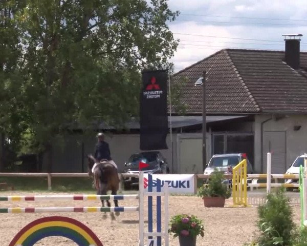Reitturnier Kleinostheim/Ufr. 2020