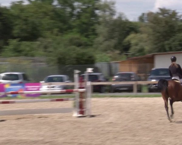 Reitturnier Kleinostheim/Ufr. 2020