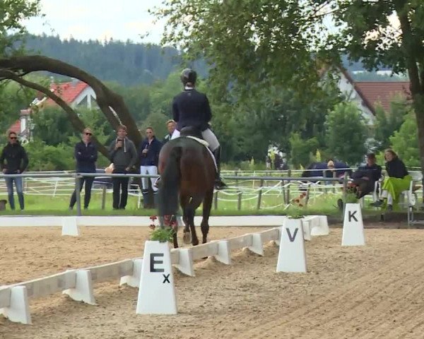 Reitturnier Babenhausen/Schw. 2020
