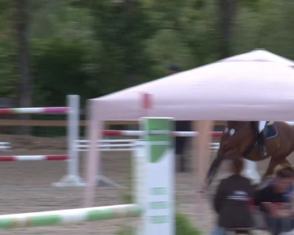 Reitturnier Kleinostheim/Ufr. 2020