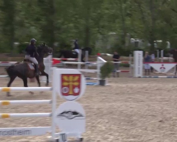 Reitturnier Kleinostheim/Ufr. 2020