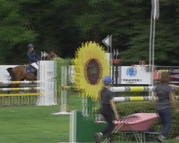 Reitturnier Kappelen-Lyss 2020