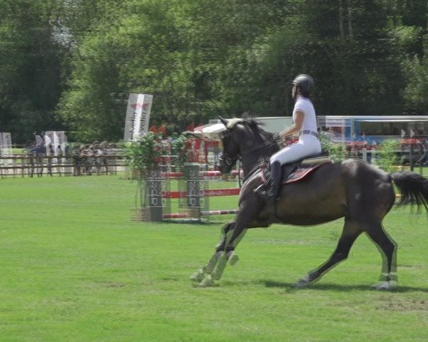 Reitturnier Kappelen-Lyss 2020