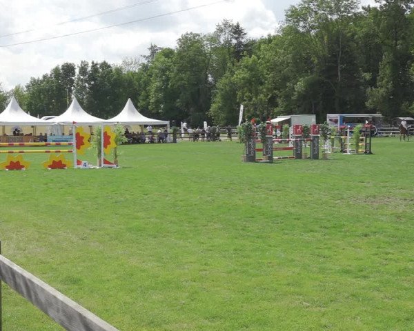 Reitturnier Kappelen-Lyss 2020