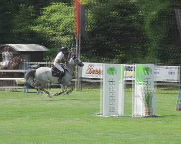 Reitturnier Kappelen-Lyss 2020