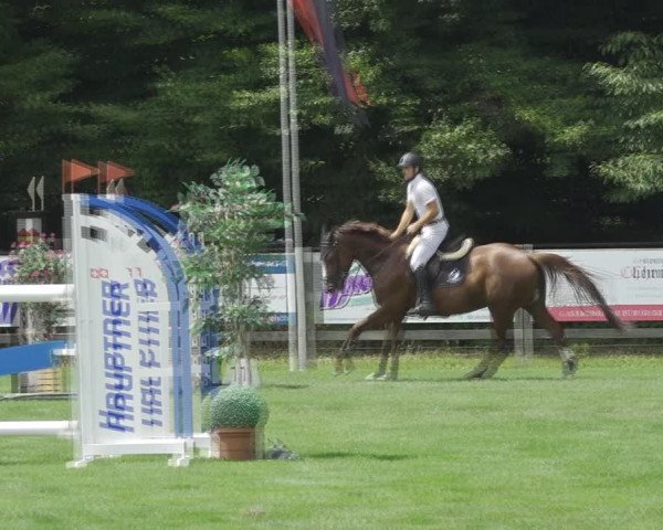 Reitturnier Kappelen-Lyss 2020