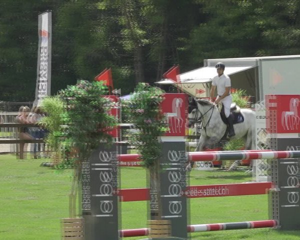 Reitturnier Kappelen-Lyss 2020