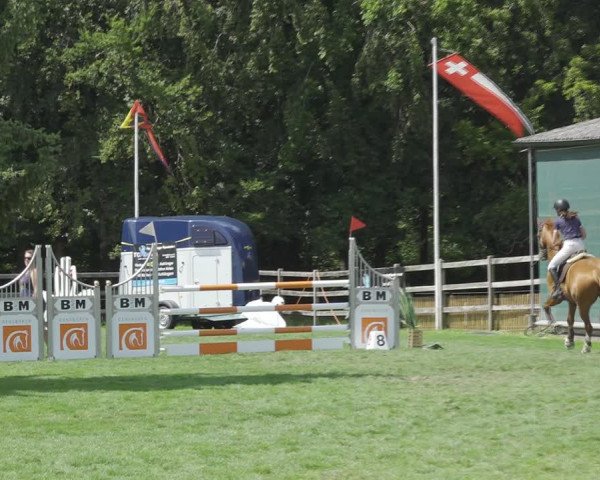 Reitturnier Kappelen-Lyss 2020