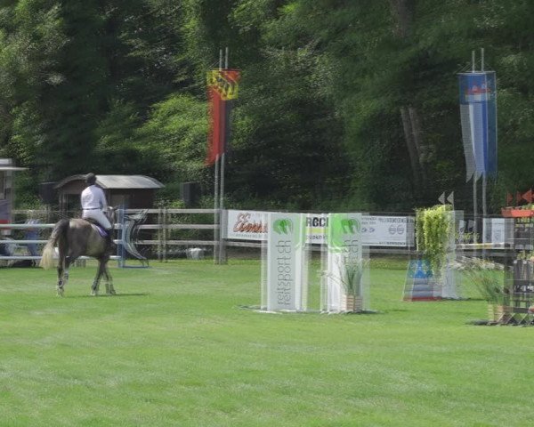 Reitturnier Kappelen-Lyss 2020