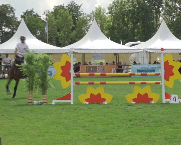 Reitturnier Kappelen-Lyss 2020