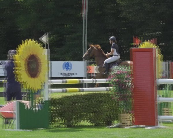 Reitturnier Kappelen-Lyss 2020