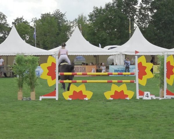 Reitturnier Kappelen-Lyss 2020