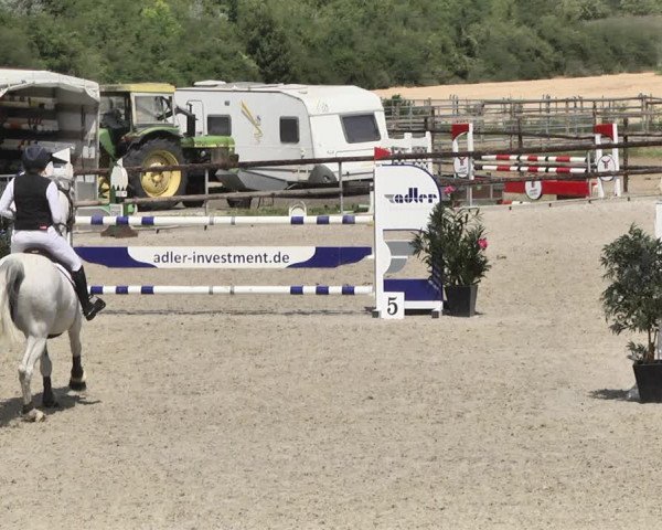 Reitturnier Worms-Pfeddersheim / Reitsportanlage Wittemer 2020