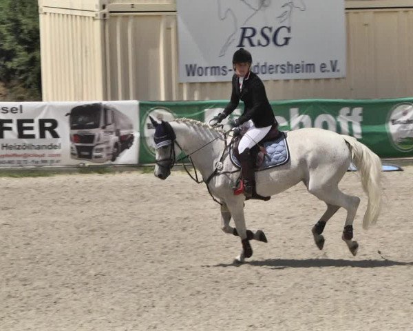 Reitturnier Worms-Pfeddersheim / Reitsportanlage Wittemer 2020