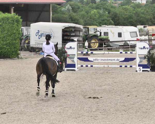 Reitturnier Worms-Pfeddersheim / Reitsportanlage Wittemer 2020
