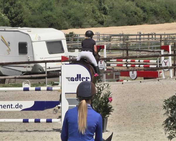 Reitturnier Worms-Pfeddersheim / Reitsportanlage Wittemer 2020