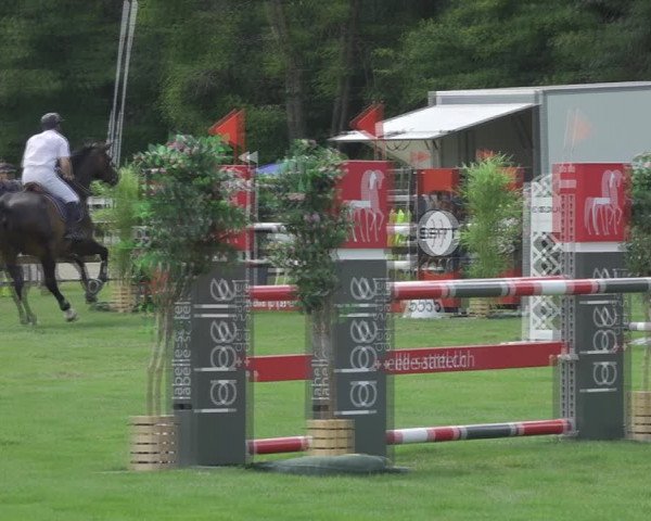 Reitturnier Kappelen-Lyss 2020
