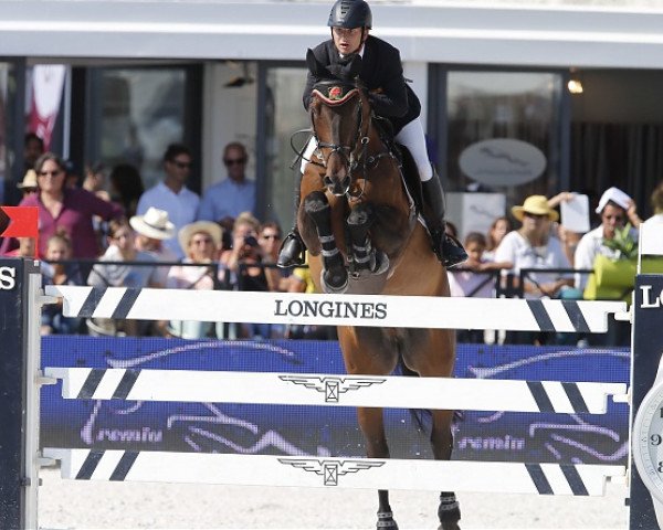 Springpferd Camilo la Silla (Sportpferd La Silla, 2002, von Portofino)
