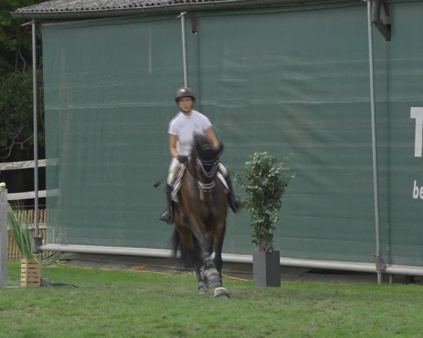 Reitturnier Kappelen-Lyss 2020