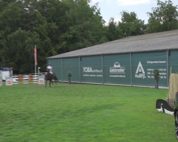 Reitturnier Kappelen-Lyss 2020