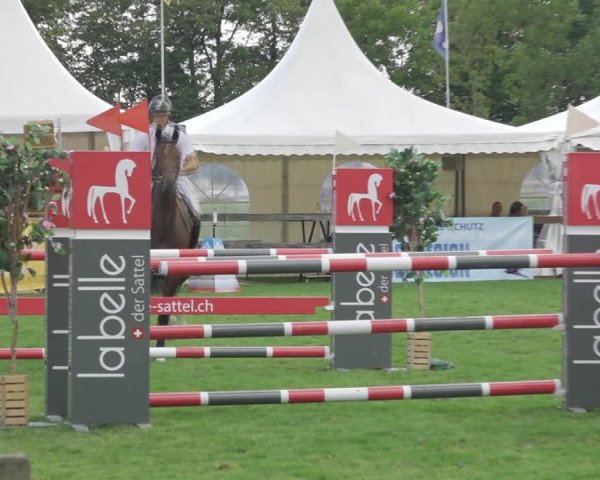 Reitturnier Kappelen-Lyss 2020