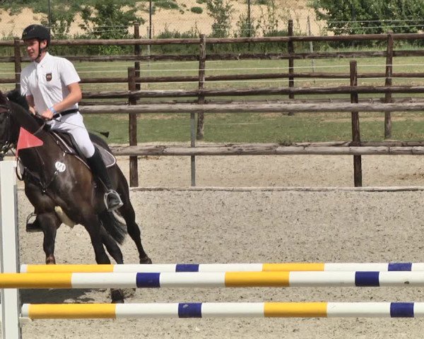 Reitturnier Worms-Pfeddersheim / Reitsportanlage Wittemer 2020