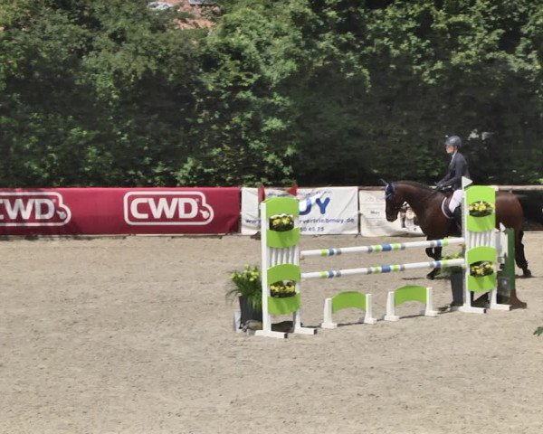 Reitturnier Worms-Pfeddersheim / Reitsportanlage Wittemer 2020