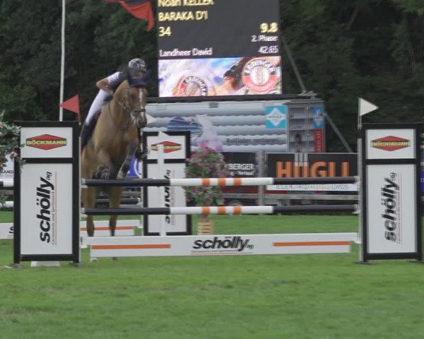 Reitturnier Kappelen-Lyss 2020