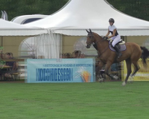 Reitturnier Kappelen-Lyss 2020