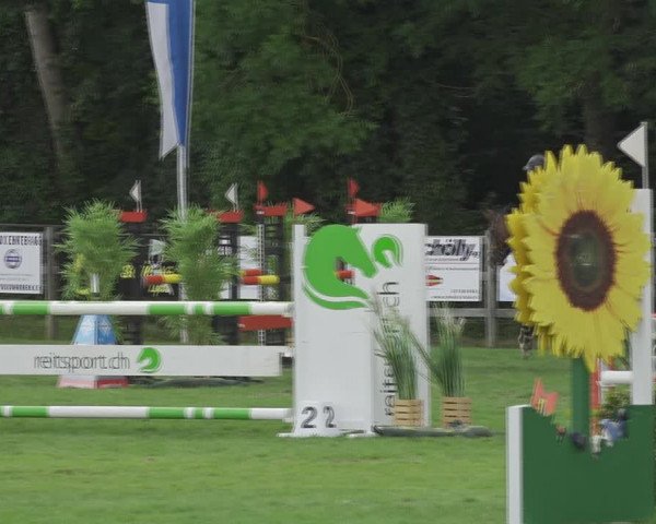 Reitturnier Kappelen-Lyss 2020