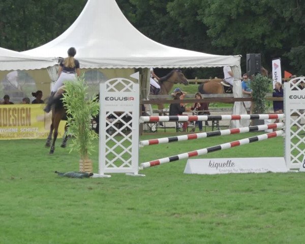 Reitturnier Kappelen-Lyss 2020