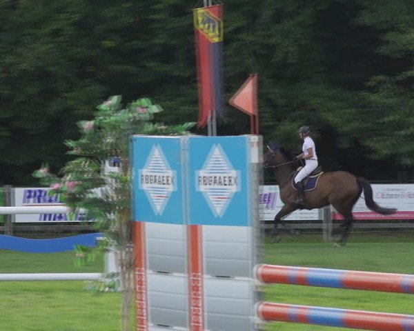 Reitturnier Kappelen-Lyss 2020