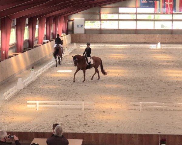 Reitturnier Süderlügum 2020